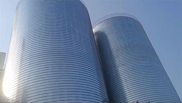 来宾2座混凝土高架卷板仓